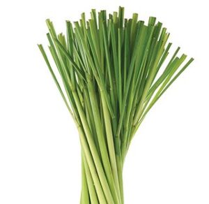 Lemongrass essential oil